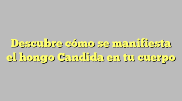 Descubre cómo se manifiesta el hongo Candida en tu cuerpo