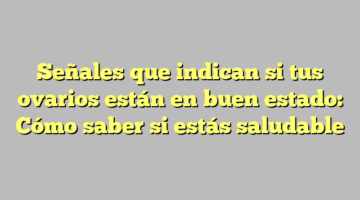 Señales que indican si tus ovarios están en buen estado: Cómo saber si estás saludable