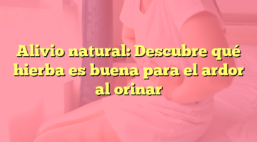 Alivio natural: Descubre qué hierba es buena para el ardor al orinar
