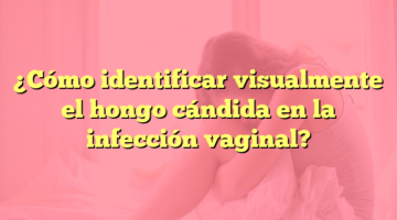 ¿Cómo identificar visualmente el hongo cándida en la infección vaginal?