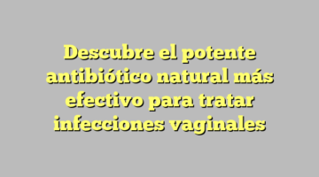 Descubre el potente antibiótico natural más efectivo para tratar infecciones vaginales