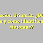Infección Urinaria: ¿Dónde duele y cómo identificar los síntomas?