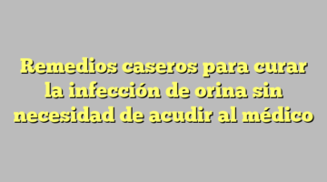 Remedios caseros para curar la infección de orina sin necesidad de acudir al médico