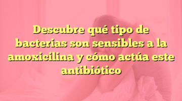 Descubre qué tipo de bacterias son sensibles a la amoxicilina y cómo actúa este antibiótico