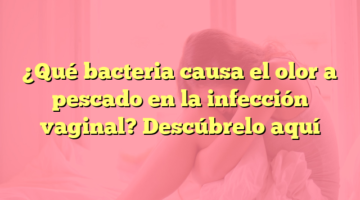 ¿Qué bacteria causa el olor a pescado en la infección vaginal? Descúbrelo aquí