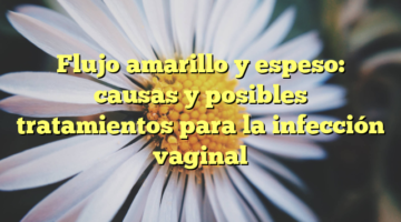 Flujo amarillo y espeso: causas y posibles tratamientos para la infección vaginal