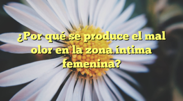 ¿Por qué se produce el mal olor en la zona íntima femenina?