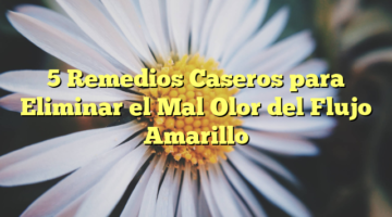 5 Remedios Caseros para Eliminar el Mal Olor del Flujo Amarillo