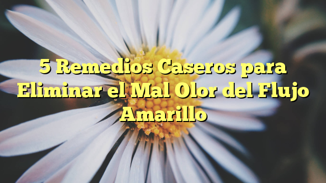 5 Remedios Caseros para Eliminar el Mal Olor del Flujo Amarillo