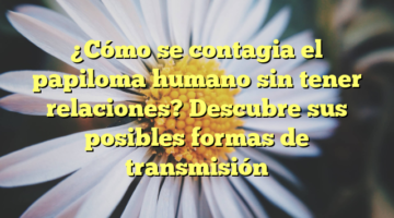 ¿Cómo se contagia el papiloma humano sin tener relaciones? Descubre sus posibles formas de transmisión