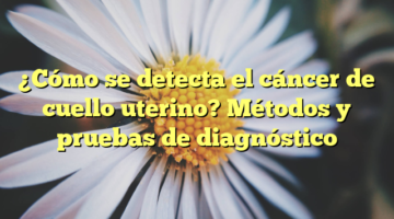 ¿Cómo se detecta el cáncer de cuello uterino? Métodos y pruebas de diagnóstico