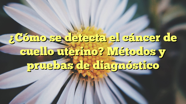 ¿Cómo se detecta el cáncer de cuello uterino? Métodos y pruebas de diagnóstico