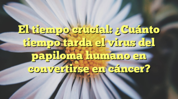 El tiempo crucial: ¿Cuánto tiempo tarda el virus del papiloma humano en convertirse en cáncer?