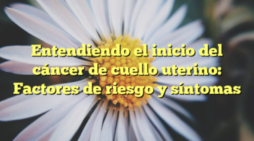 Entendiendo el inicio del cáncer de cuello uterino: Factores de riesgo y síntomas