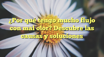 ¿Por qué tengo mucho flujo con mal olor? Descubre las causas y soluciones