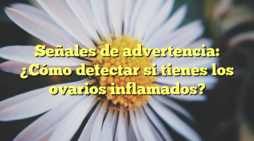 Señales de advertencia: ¿Cómo detectar si tienes los ovarios inflamados?