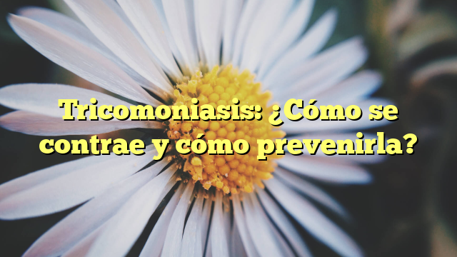 Tricomoniasis: ¿Cómo se contrae y cómo prevenirla?