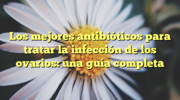 Los mejores antibióticos para tratar la infección de los ovarios: una guía completa