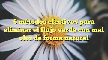 5 métodos efectivos para eliminar el flujo verde con mal olor de forma natural