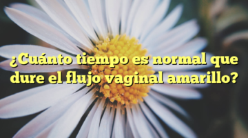 ¿Cuánto tiempo es normal que dure el flujo vaginal amarillo?