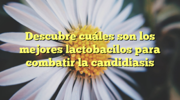 Descubre cuáles son los mejores lactobacilos para combatir la candidiasis