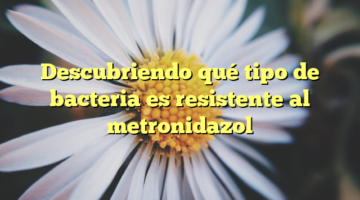 Descubriendo qué tipo de bacteria es resistente al metronidazol