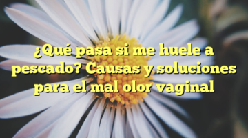 ¿Qué pasa si me huele a pescado? Causas y soluciones para el mal olor vaginal