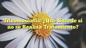 Tricomoniasis: ¿Qué Sucede si no se Realiza Tratamiento?