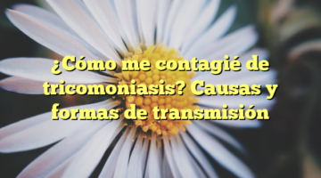 ¿Cómo me contagié de tricomoniasis? Causas y formas de transmisión