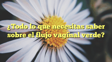 ¿Todo lo que necesitas saber sobre el flujo vaginal verde?