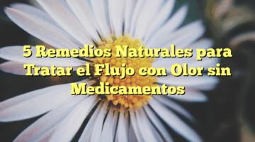 5 Remedios Naturales para Tratar el Flujo con Olor sin Medicamentos