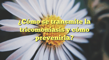 ¿Cómo se transmite la tricomoniasis y cómo prevenirla?