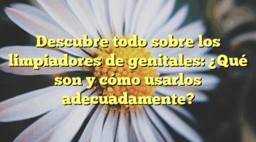 Descubre todo sobre los limpiadores de genitales: ¿Qué son y cómo usarlos adecuadamente?