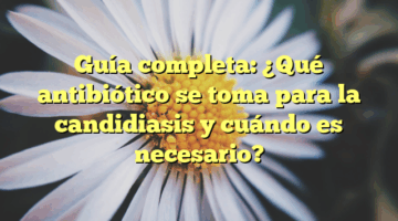Guía completa: ¿Qué antibiótico se toma para la candidiasis y cuándo es necesario?
