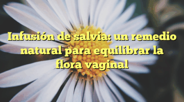 Infusión de salvia: un remedio natural para equilibrar la flora vaginal