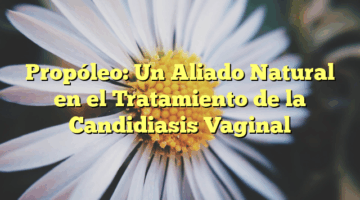 Propóleo: Un Aliado Natural en el Tratamiento de la Candidiasis Vaginal