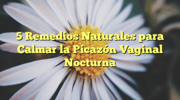 5 Remedios Naturales para Calmar la Picazón Vaginal Nocturna