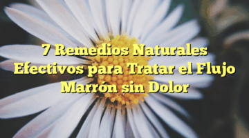 7 Remedios Naturales Efectivos para Tratar el Flujo Marrón sin Dolor