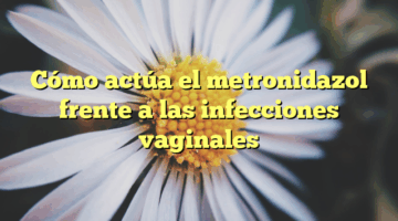 Cómo actúa el metronidazol frente a las infecciones vaginales