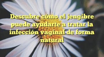 Descubre cómo el jengibre puede ayudarte a tratar la infección vaginal de forma natural