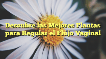 Descubre las Mejores Plantas para Regular el Flujo Vaginal