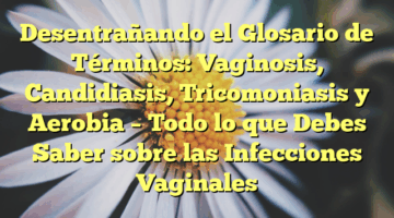 Desentrañando el Glosario de Términos: Vaginosis, Candidiasis, Tricomoniasis y Aerobia – Todo lo que Debes Saber sobre las Infecciones Vaginales
