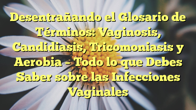 Desentrañando el Glosario de Términos: Vaginosis, Candidiasis, Tricomoniasis y Aerobia – Todo lo que Debes Saber sobre las Infecciones Vaginales