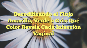 Decodificando el Flujo Amarillo, Verde o Gris: Qué Color Revela Cada Infección Vaginal