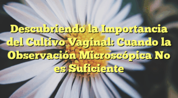 Descubriendo la Importancia del Cultivo Vaginal: Cuando la Observación Microscópica No es Suficiente