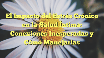 El Impacto del Estrés Crónico en la Salud Íntima: Conexiones Inesperadas y Cómo Manejarlas