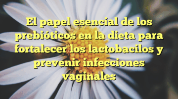 El papel esencial de los prebióticos en la dieta para fortalecer los lactobacilos y prevenir infecciones vaginales