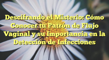Descifrando el Misterio: Cómo Conocer tu Patrón de Flujo Vaginal y su Importancia en la Detección de Infecciones