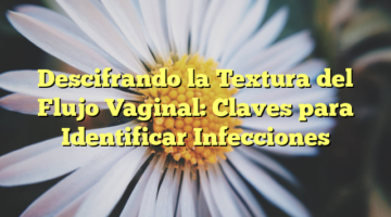 Descifrando la Textura del Flujo Vaginal: Claves para Identificar Infecciones
