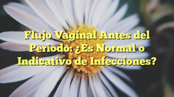 Flujo Vaginal Antes del Periodo: ¿Es Normal o Indicativo de Infecciones?